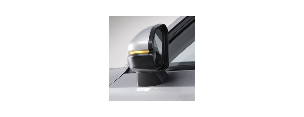 door-mirror-with-led-turn-signal